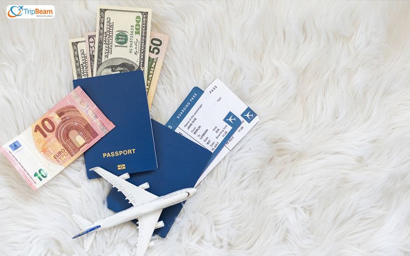 Research flight prices on different websites