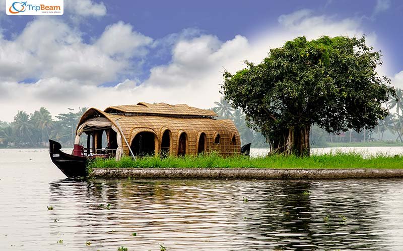 Alappuzha
