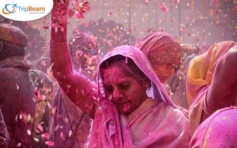 Holi Celebrations for Widows in Vrindavan