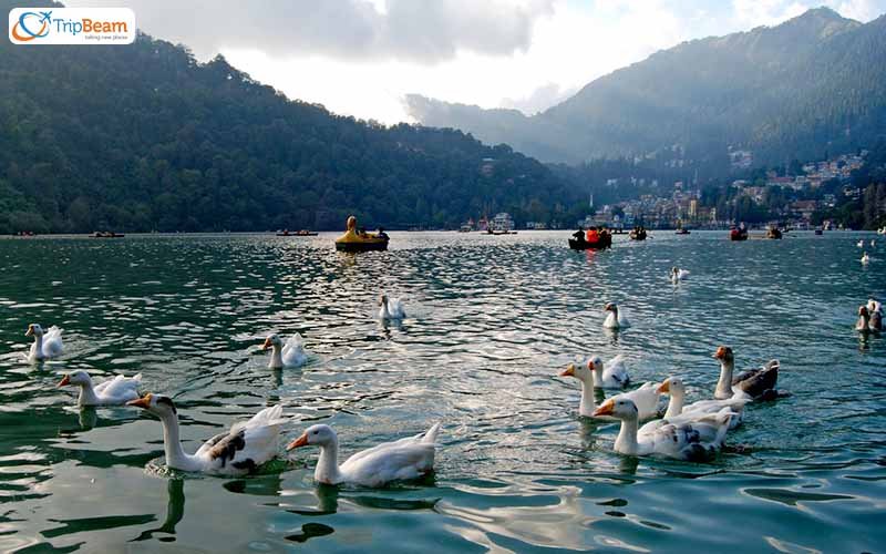 Nainital