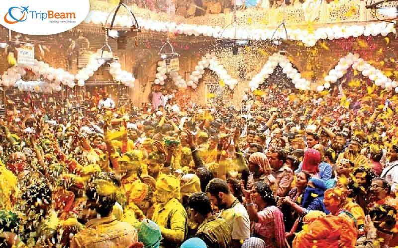 Phool wali Holi at Banke Bihari Temple