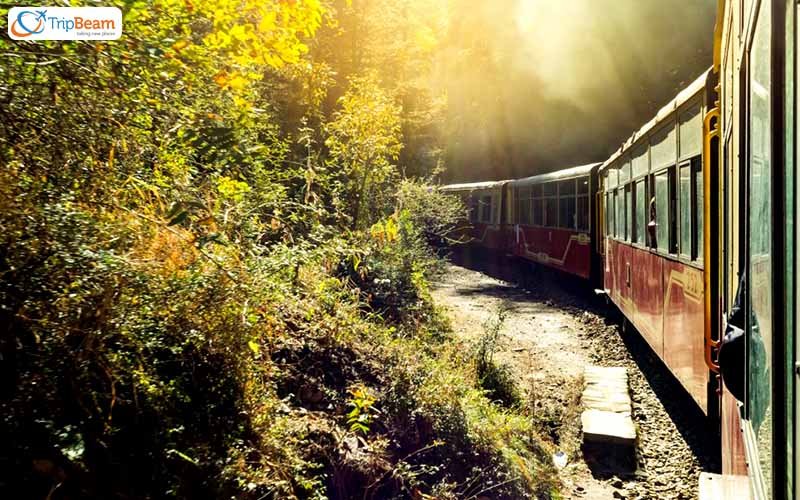 Shimla
