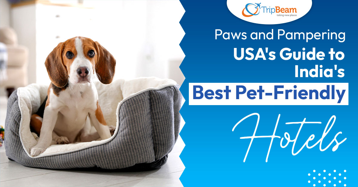 Paws and Pampering: USA’s Guide to India’s Best Pet-Friendly Hotels