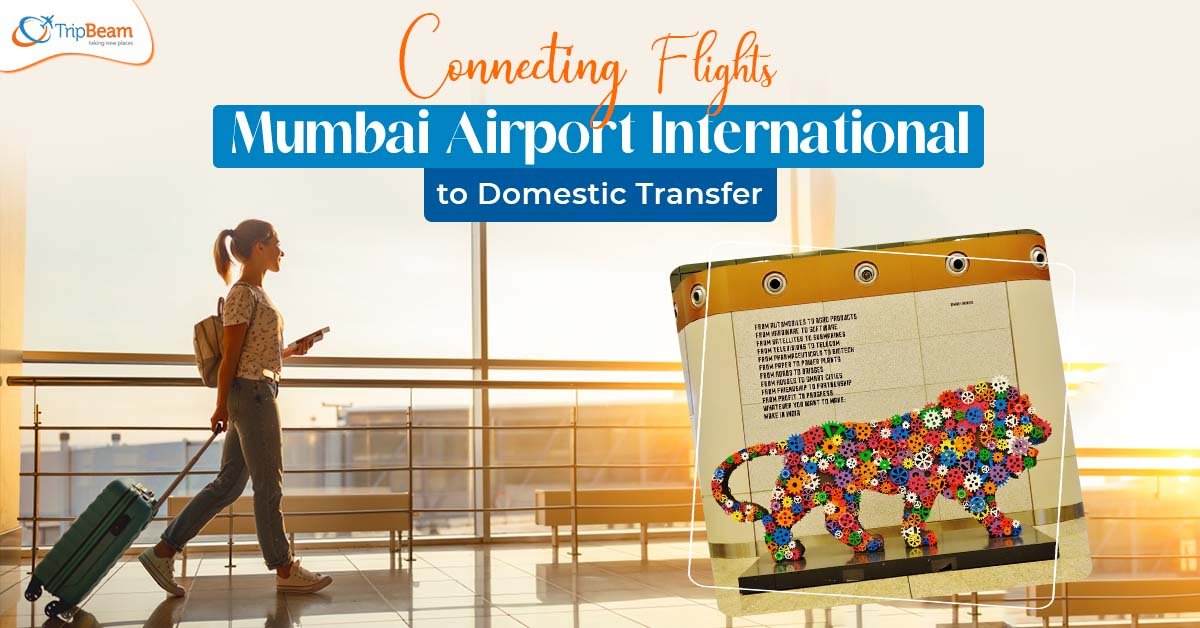 Connecting Flights: Mumbai Airport International to Domestic Transfer ...