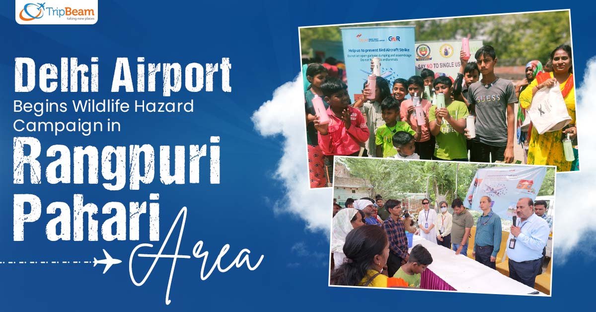 Delhi Airport Begins Wildlife Hazard Campaign in Rangpuri Pahari Area