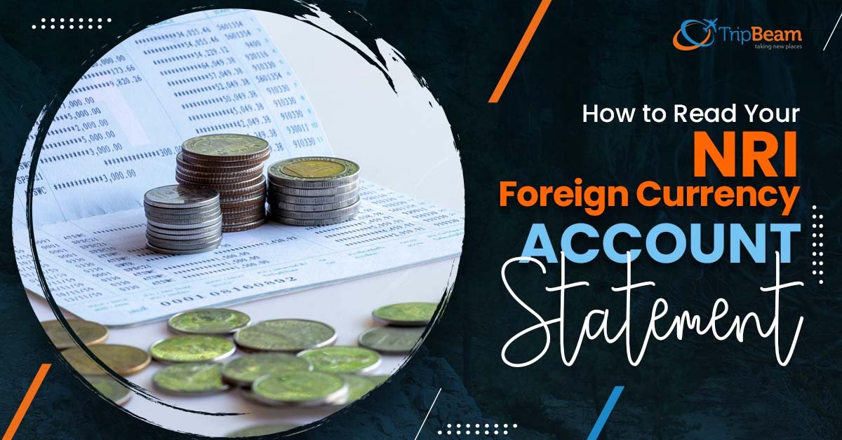 How to Read Your NRI Foreign Currency Account Statement