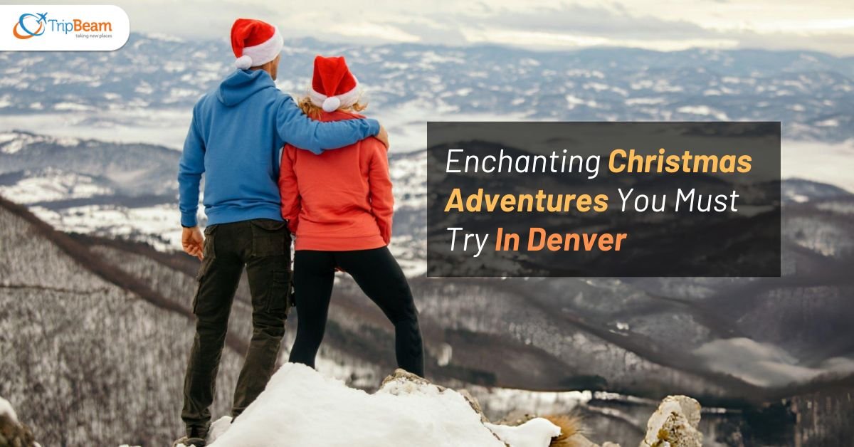 Enchanting Christmas Adventures You Must Try In Denver