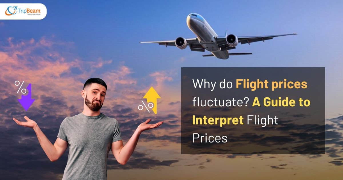Why do Flight prices fluctuate? A Guide to Interpret Flight Prices