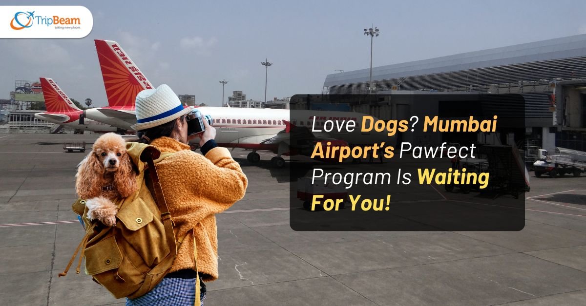 Love Dogs? Mumbai Airport’s Pawfect Program Is Waiting For You!
