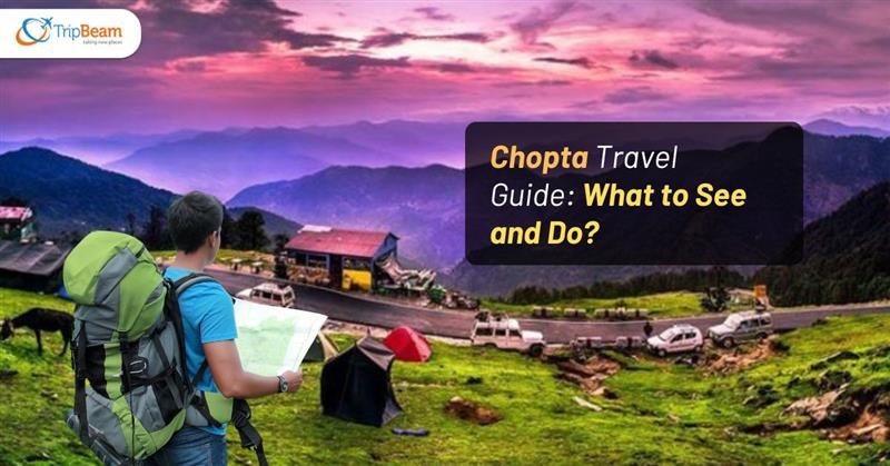 Chopta Travel Guide: What to See and Do?