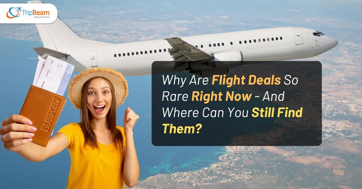 Why Are Flight Deals So Rare Right Now – And Where Can You Still Find Them?